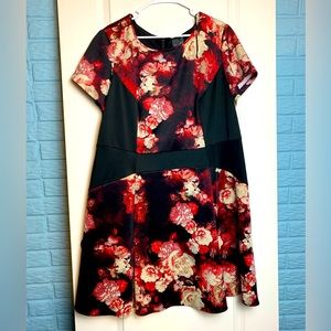 Floral Adriana Papell Dress